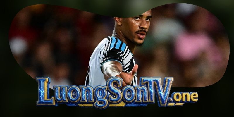 Newcastle United lấy sức ép sân nhà làm điểm tựa cho cuộc tái thiết